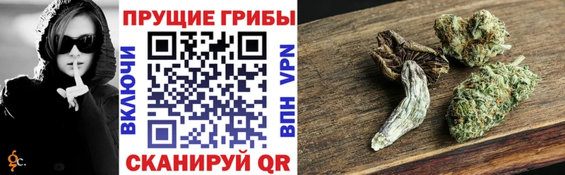 мориарти телеграм  Каргополь  Галлюциногенные грибы Psilocybe  где продают наркотики 